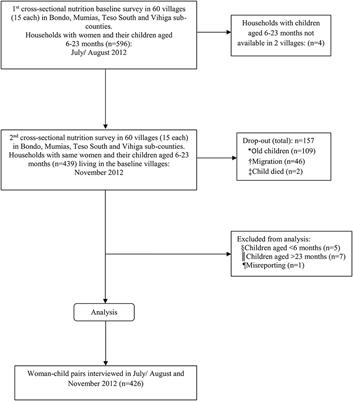 Seasonal Variations in Dietary Diversity and Nutrient Intakes of Women and Their Children (6–23 Months) in Western Kenya